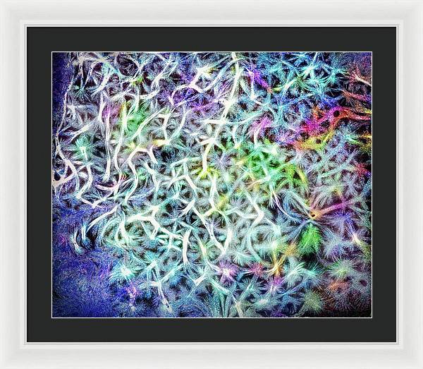 Caressing The Strings Again - Framed Print
