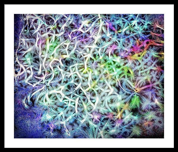 Caressing The Strings Again - Framed Print