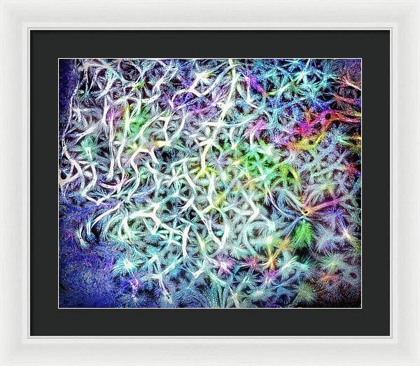 Caressing The Strings Again - Framed Print