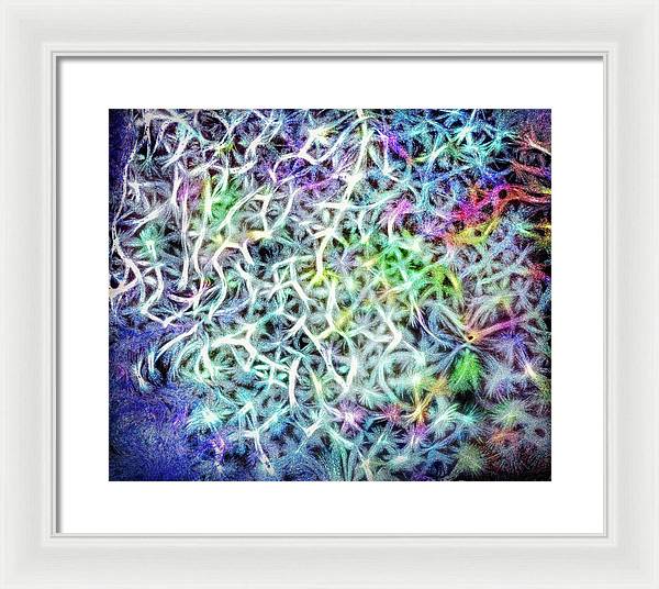 Caressing The Strings Again - Framed Print