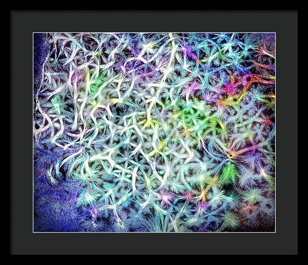Caressing The Strings Again - Framed Print