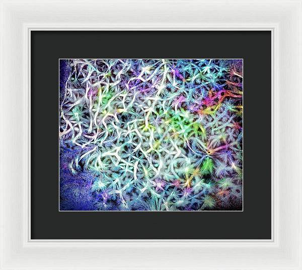 Caressing The Strings Again - Framed Print