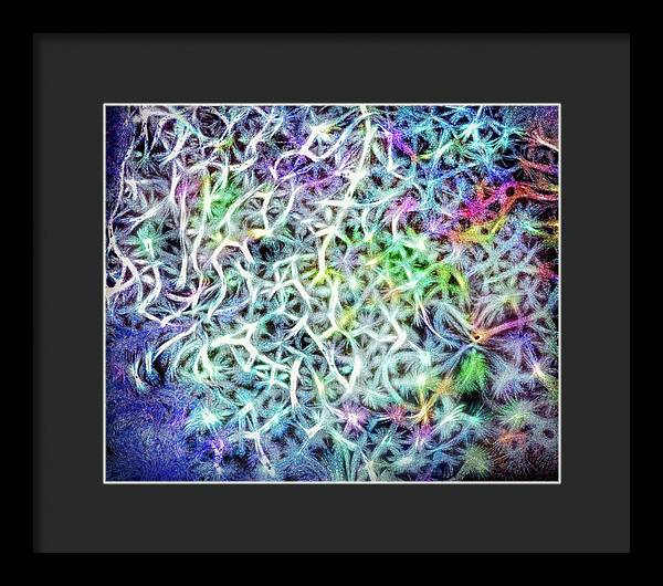Caressing The Strings Again - Framed Print