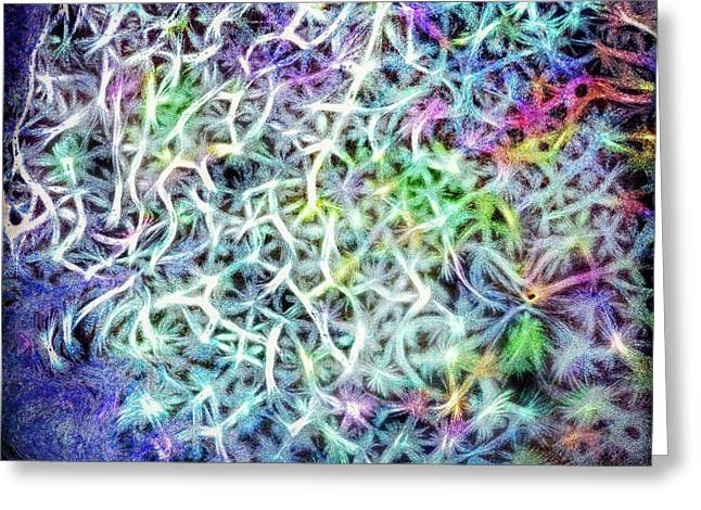 Caressing The Strings Again - Greeting Card