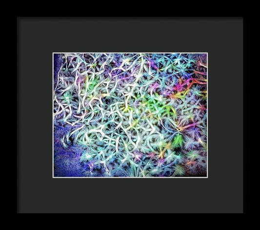 Caressing The Strings Again - Framed Print