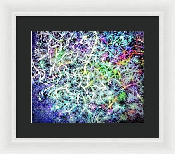 Caressing The Strings Again - Framed Print