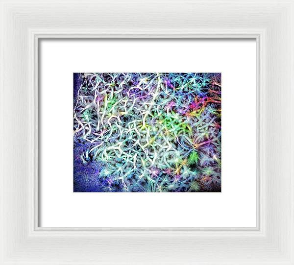 Caressing The Strings Again - Framed Print