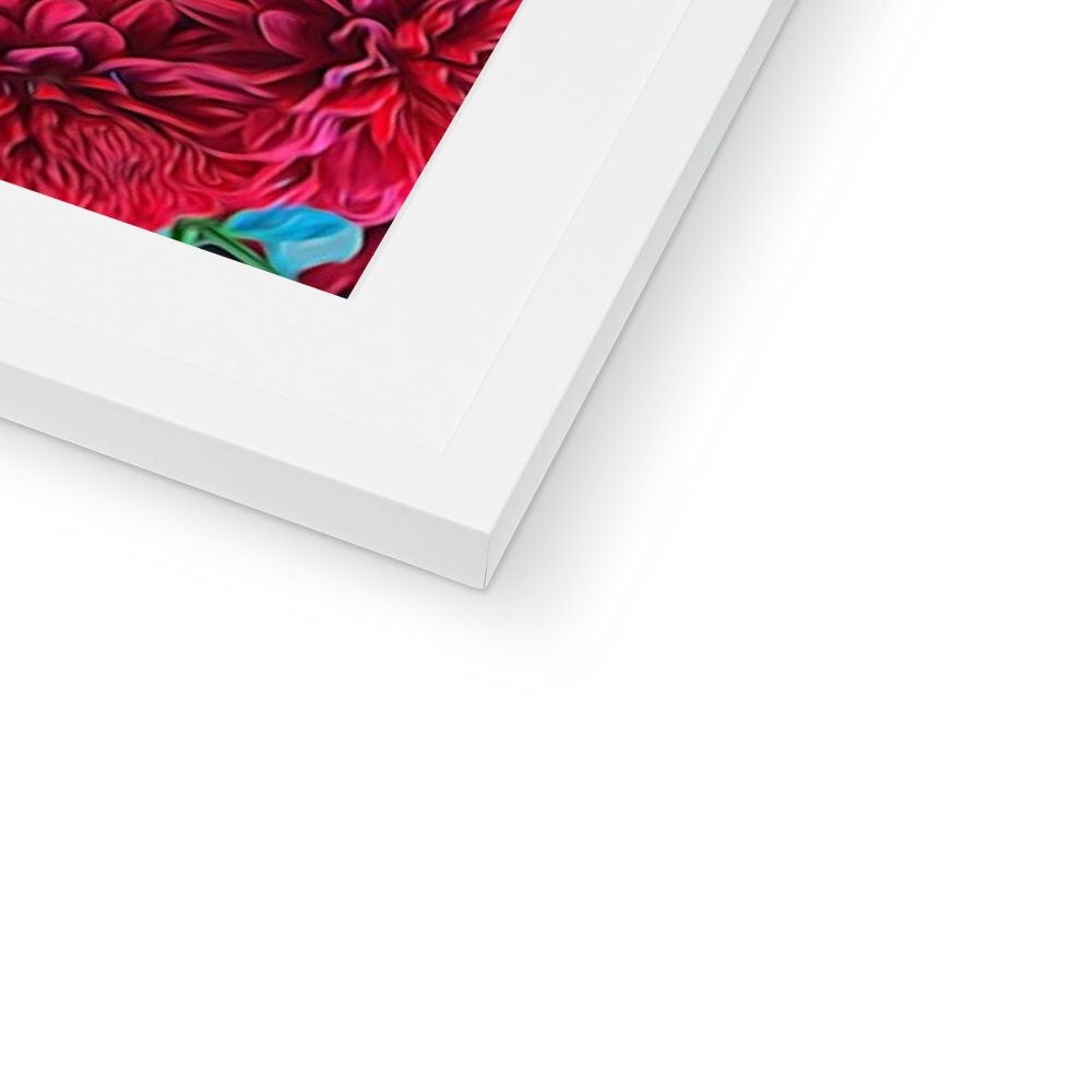 Red Mums Framed & Mounted Print