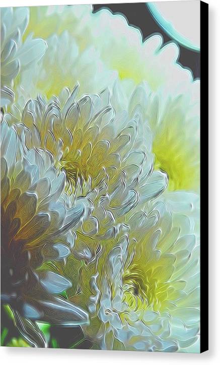 Chrysanthemums in White Light - Canvas Print