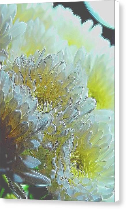 Chrysanthemums in White Light - Canvas Print
