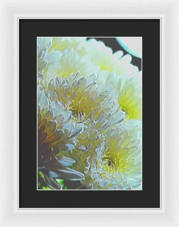 Chrysanthemums in White Light - Framed Print