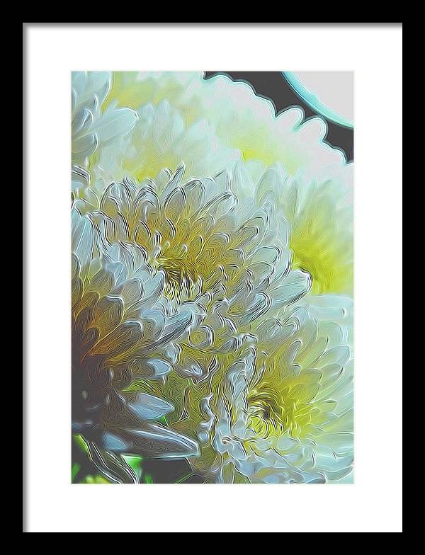 Chrysanthemums in White Light - Framed Print