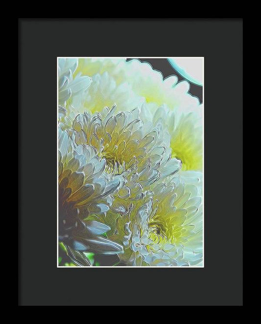 Chrysanthemums in White Light - Framed Print