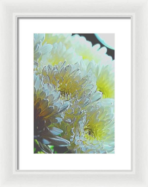 Chrysanthemums in White Light - Framed Print