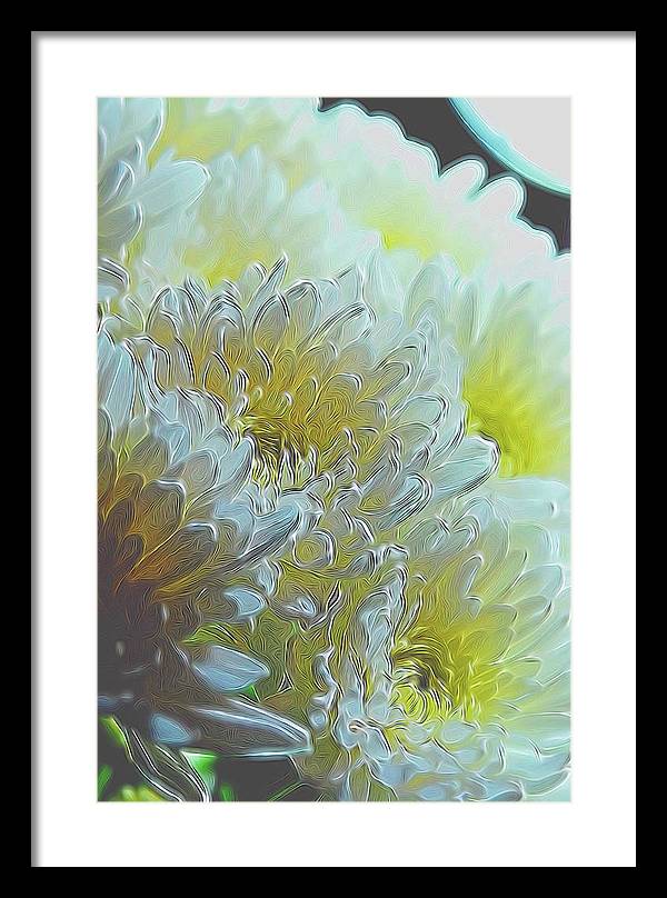 Chrysanthemums in White Light - Framed Print
