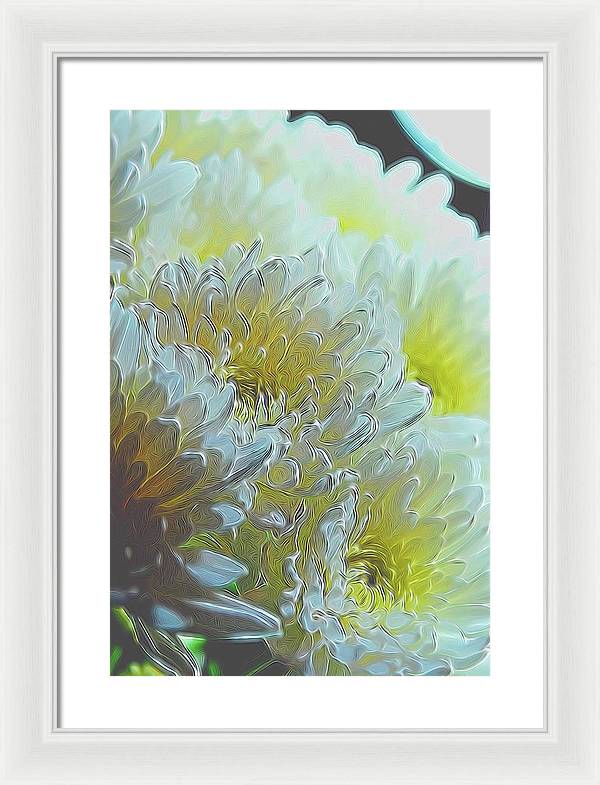 Chrysanthemums in White Light - Framed Print