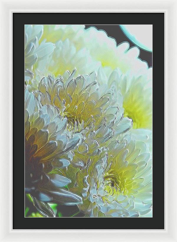 Chrysanthemums in White Light - Framed Print