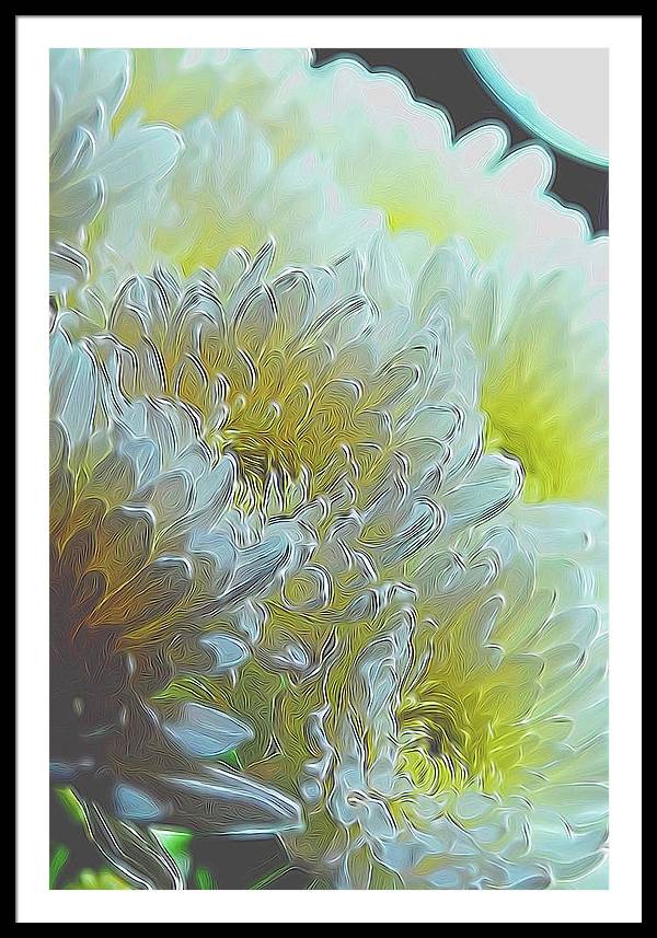 Chrysanthemums in White Light - Framed Print