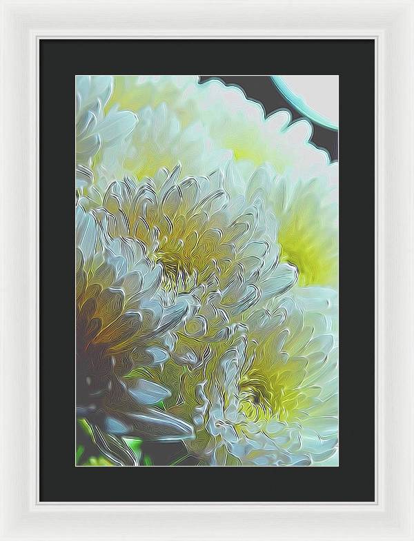 Chrysanthemums in White Light - Framed Print