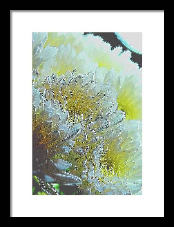 Chrysanthemums in White Light - Framed Print