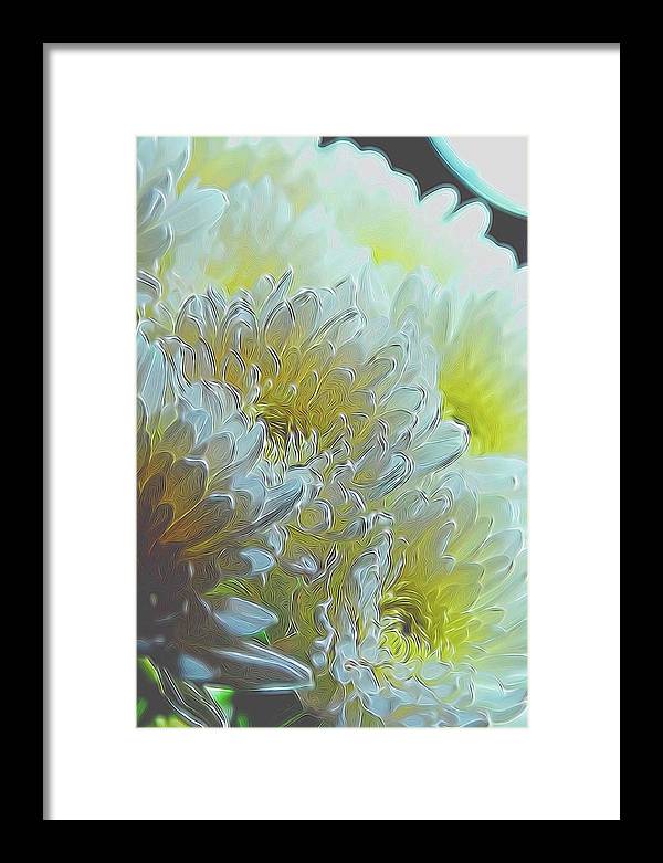 Chrysanthemums in White Light - Framed Print