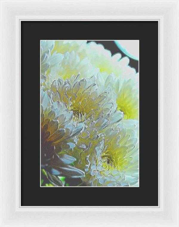 Chrysanthemums in White Light - Framed Print