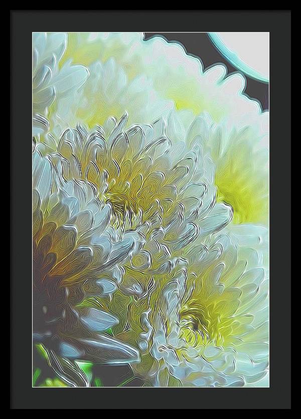 Chrysanthemums in White Light - Framed Print