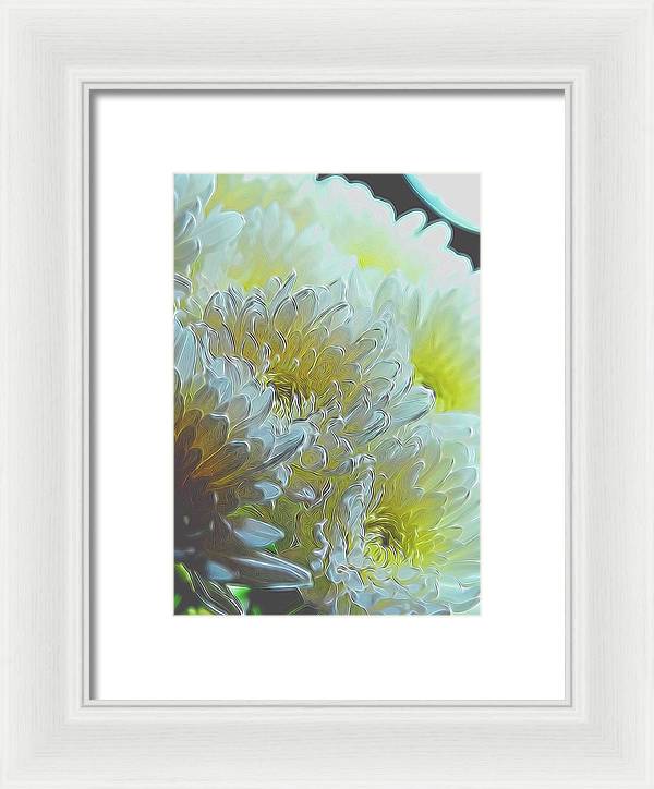 Chrysanthemums in White Light - Framed Print