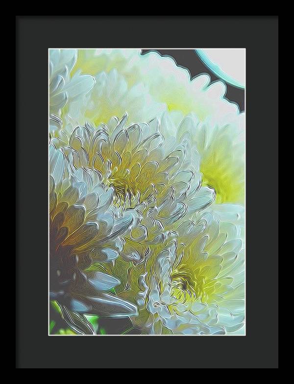 Chrysanthemums in White Light - Framed Print
