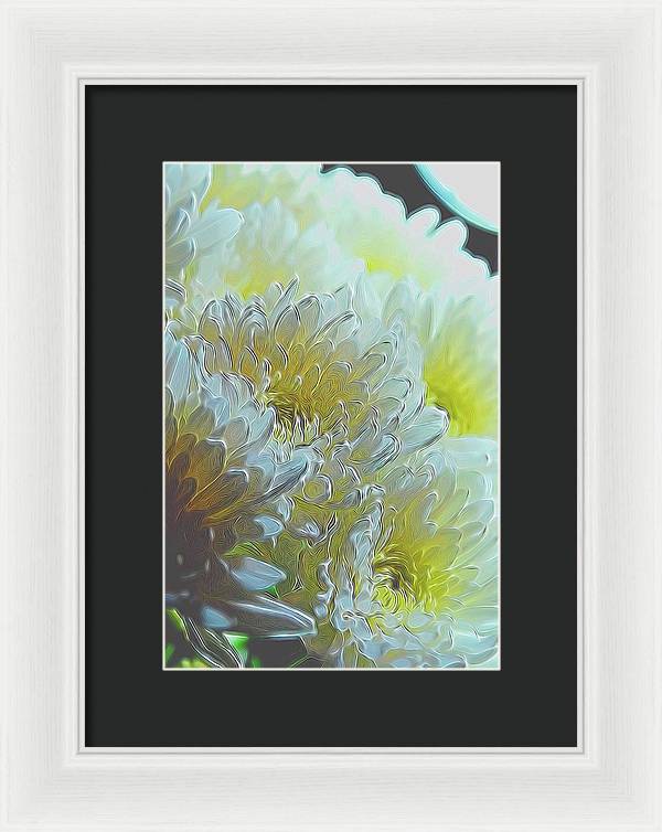 Chrysanthemums in White Light - Framed Print