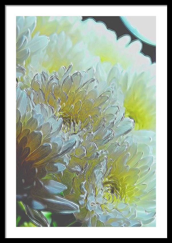 Chrysanthemums in White Light - Framed Print