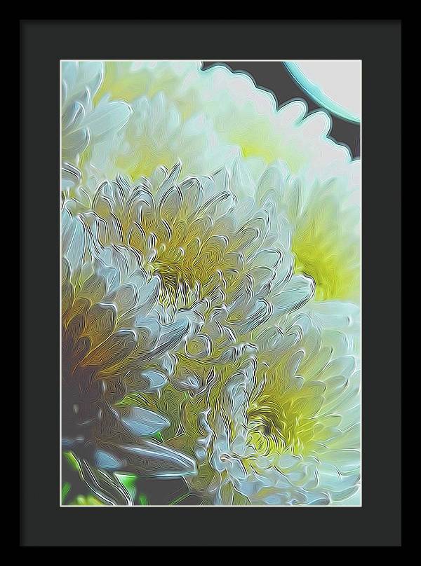 Chrysanthemums in White Light - Framed Print