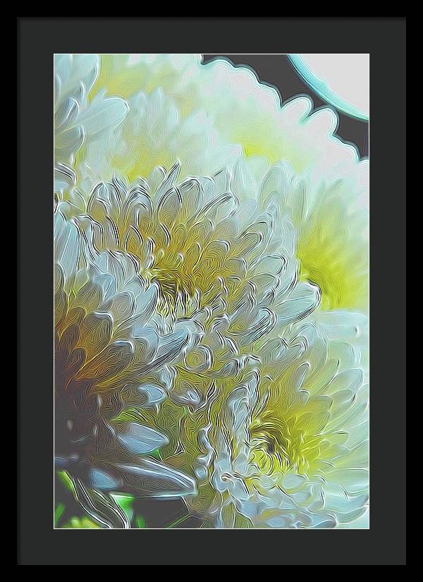 Chrysanthemums in White Light - Framed Print