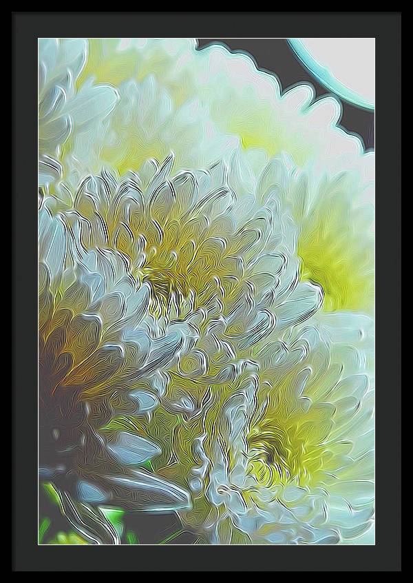 Chrysanthemums in White Light - Framed Print