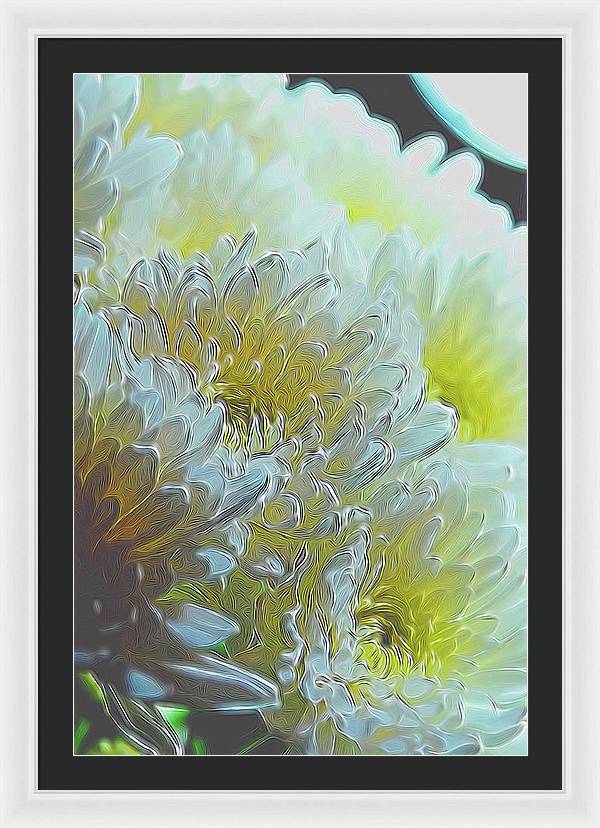 Chrysanthemums in White Light - Framed Print