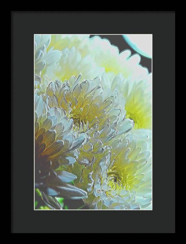 Chrysanthemums in White Light - Framed Print