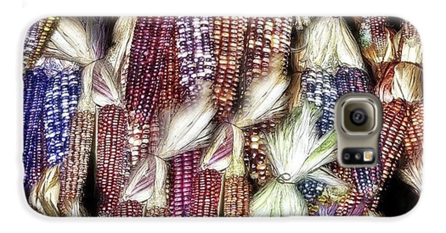 Colorful Fall Corn - Phone Case