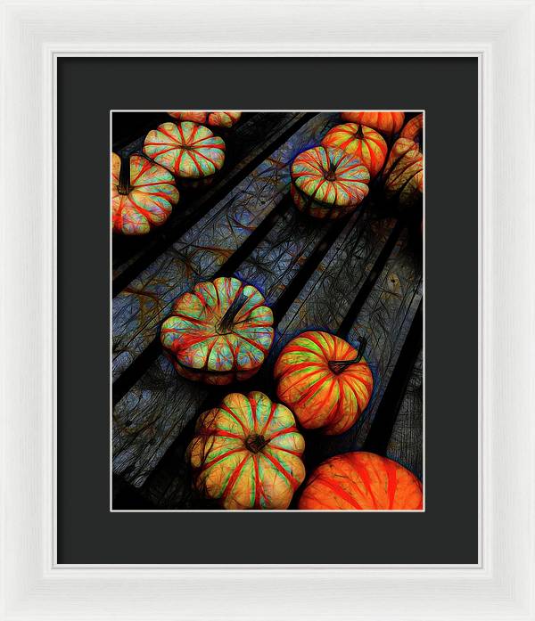Colorful Fall Gourds - Framed Print