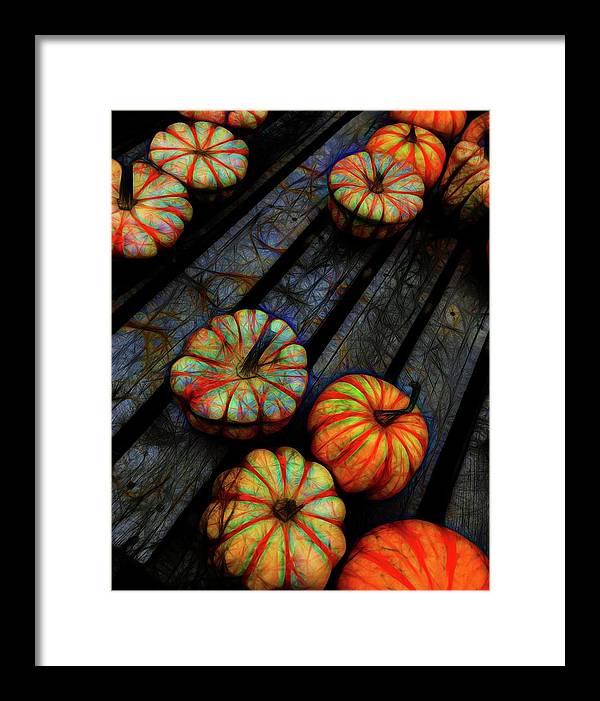 Colorful Fall Gourds - Framed Print