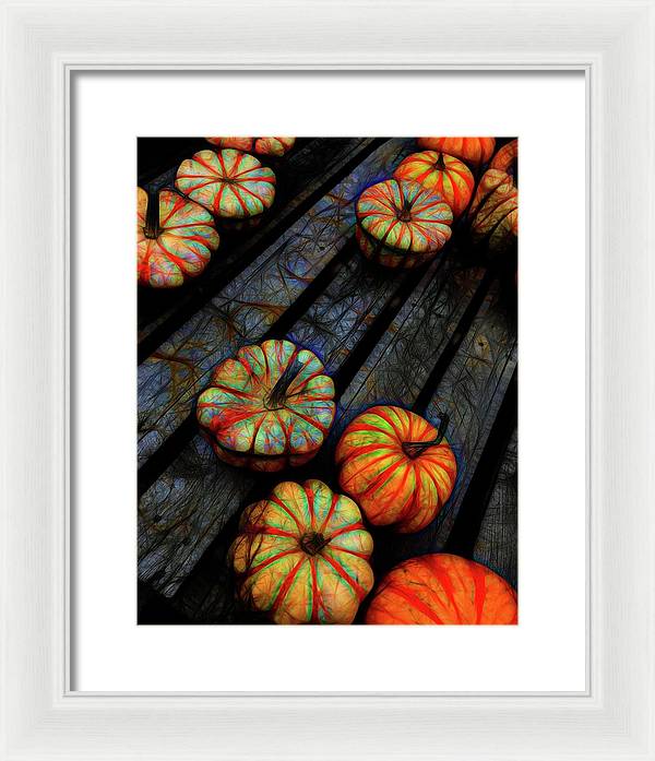 Colorful Fall Gourds - Framed Print