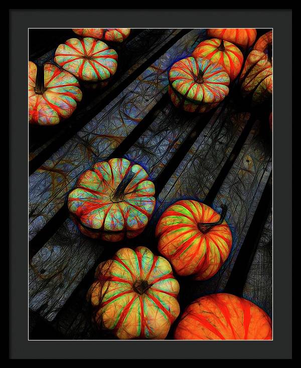 Colorful Fall Gourds - Framed Print