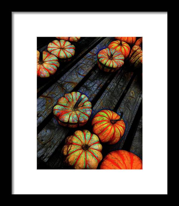 Colorful Fall Gourds - Framed Print