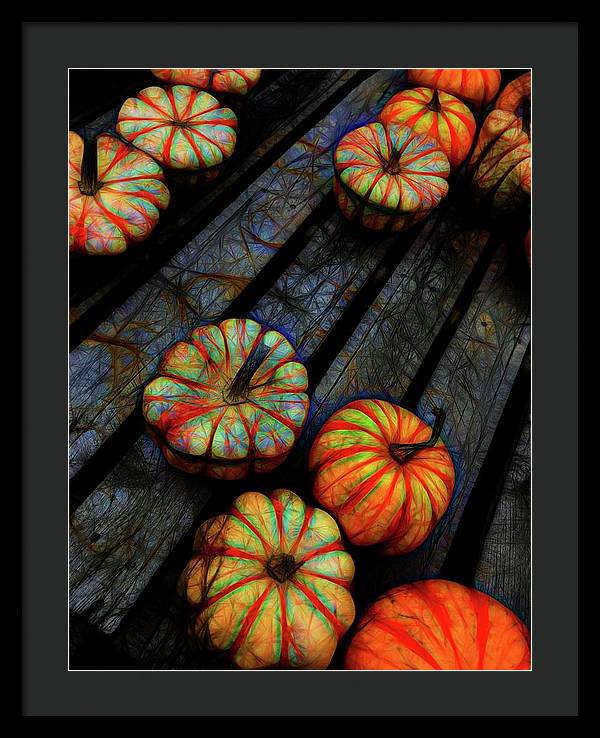 Colorful Fall Gourds - Framed Print