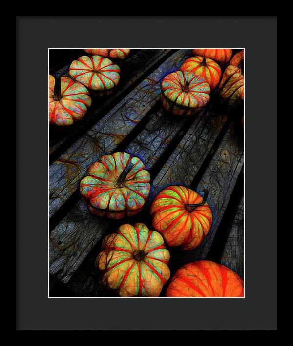 Colorful Fall Gourds - Framed Print