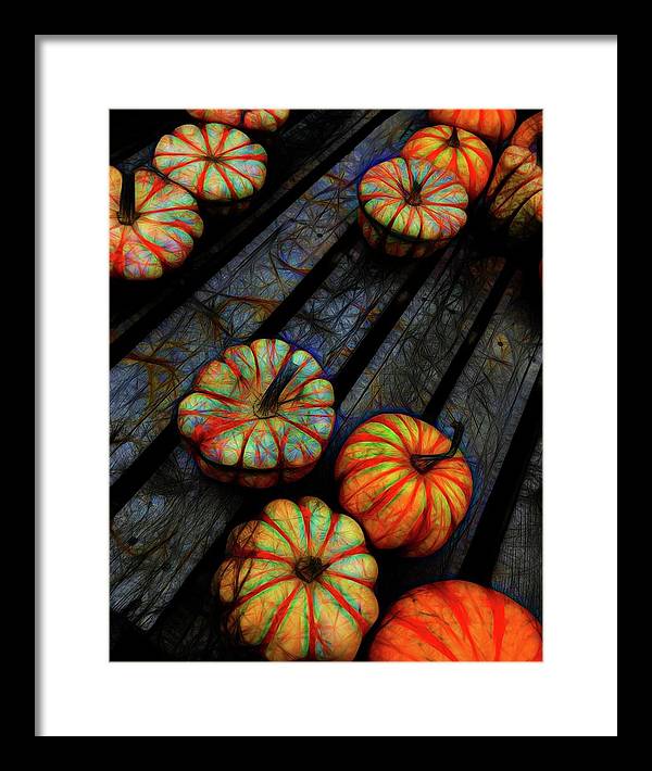 Colorful Fall Gourds - Framed Print