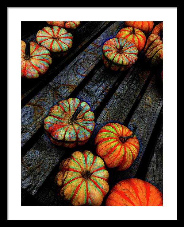 Colorful Fall Gourds - Framed Print