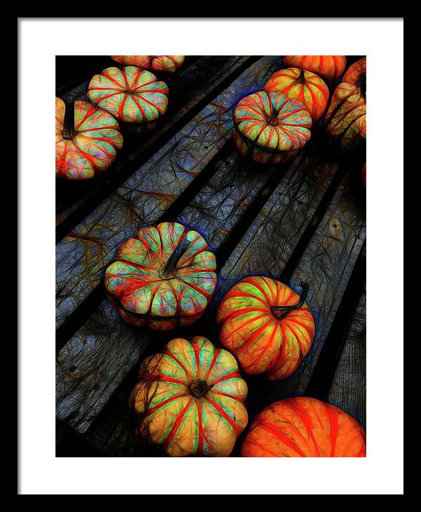 Colorful Fall Gourds - Framed Print