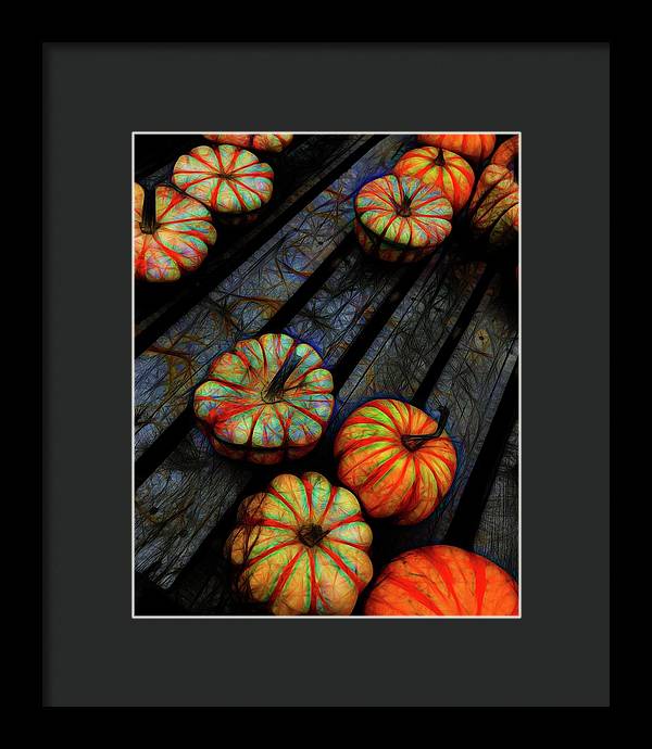 Colorful Fall Gourds - Framed Print