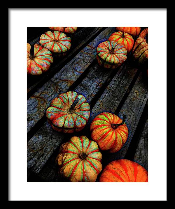 Colorful Fall Gourds - Framed Print