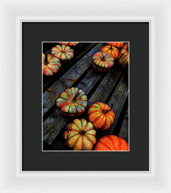 Colorful Fall Gourds - Framed Print